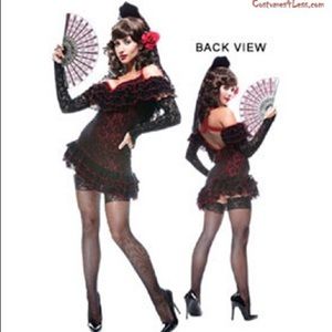 Lady of Spain adult costume